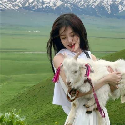 竞相灭绝海报